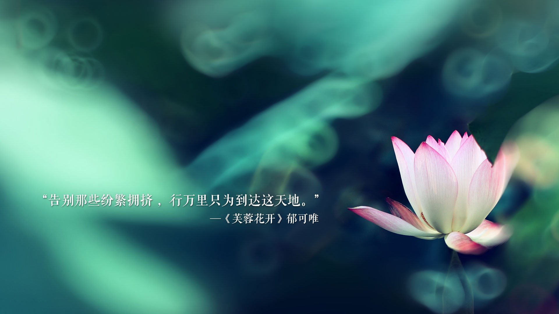 开云官网-费尔明在奥运会中获得金牌，费尔明娜是什么星座