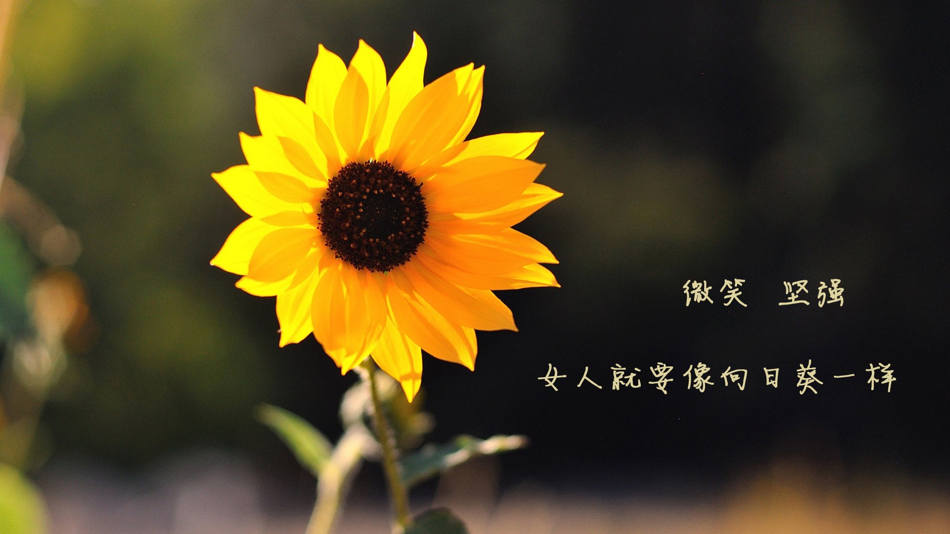 巴萨前场轮转创造空间破门良机，巴萨传进球门