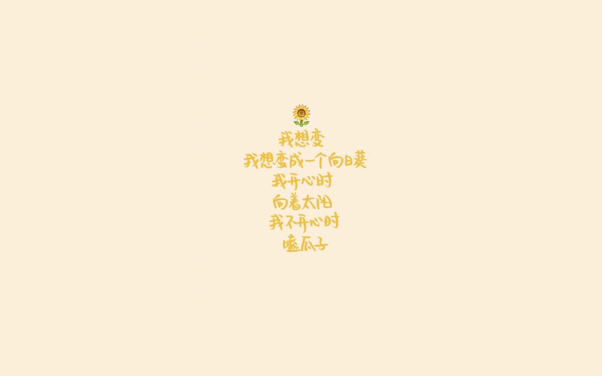 开云网页版-场馆照明系统全面升级保障夜场比赛清晰呈现，室内场馆照明亮度标准